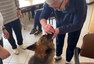 Dogoterapia