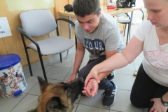 Dogoterapia