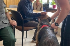 Dogoterapia