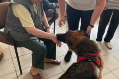 Dogoterapia