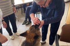 Dogoterapia
