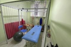 Sala rehabilitacyjna